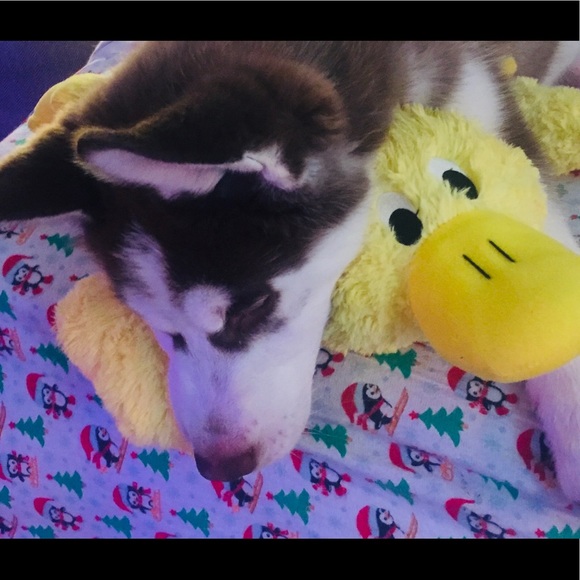 Meet your Posher - Picture 3 of 3